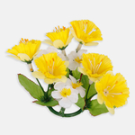 Yellow/White (U036E-02)