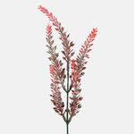 Red (A367K-02)