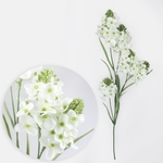 Cream (L873-01)