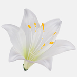White/Yellow (W374-15)