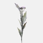 Lilac (A740-03)