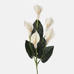 Autumn Cream (L862-01)