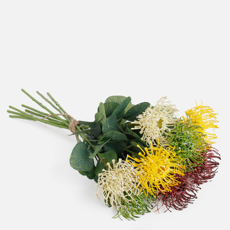 Pincushion Protea
