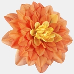 T.T. Orange (W536-19)