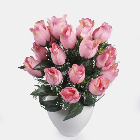Tulip x 18