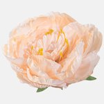 Lt. Orange (W689-04)