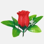 Dk.Red (W484P-28)