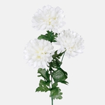 Cream (L831-02)