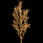 Gold (S450K-02)