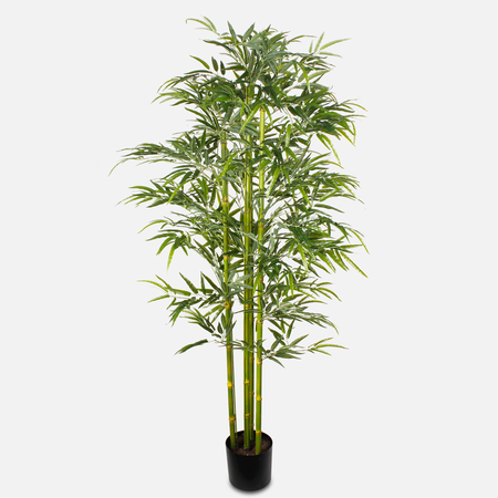 Bamboo 1.75 m
