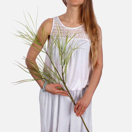 Grass