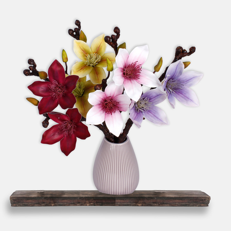Magnolia