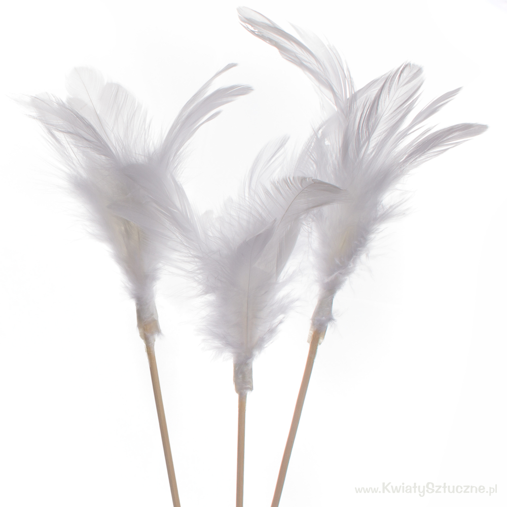 Feathers on stick SD002K Feather decoration