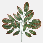 Green/Brown Edge (F188-01)