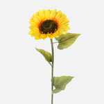 Yellow (L783-01)