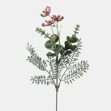 Honeysuckle