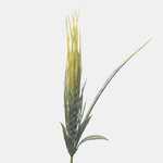 Yellow/Green (A443-01)