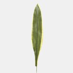 Yellow/Green (A217-01)