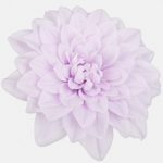 Lt. Lilac (W536-05)