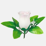 Lemon (W484-10)