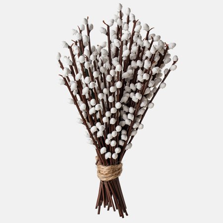 Small willow twig with catkins