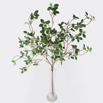 Green (F110L-01)