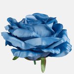 Autumn Blue (W708-15)