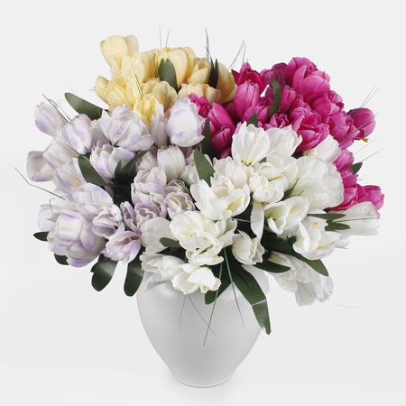 Crocus x 12