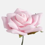 Pink (W702-03)