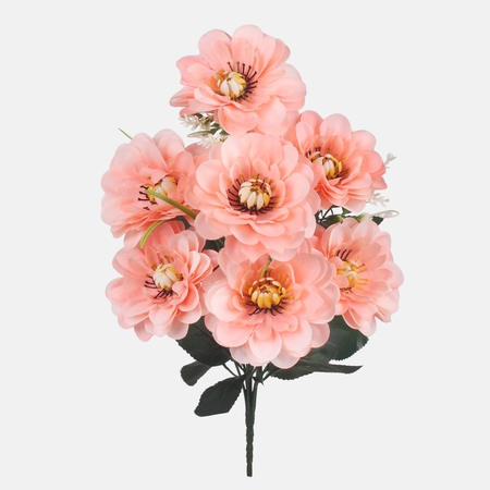 Dahlia x 7