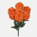 T.T. Orange (QA354K-02)