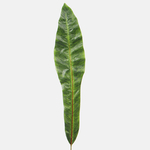Green (A409)
