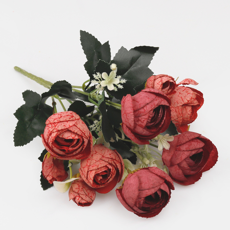 Camellia