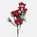 Red (A838S-01)
