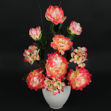 Peony/Hydrangea