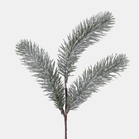 Snow-covered spruce twig 40 cm