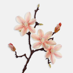 Yellow/Pink (L774L-03)