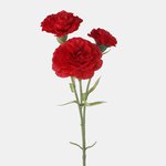 Pure Red (L699-02)