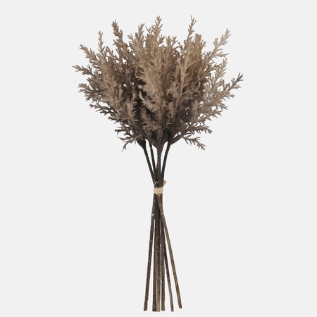 Reed inflorescence
