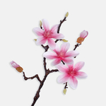 Lt. Pink (L774L-02)