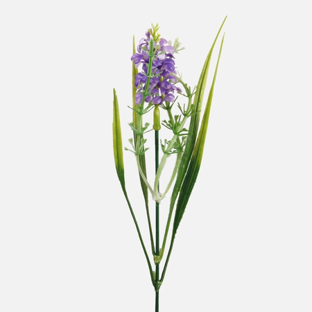 Hyacinth