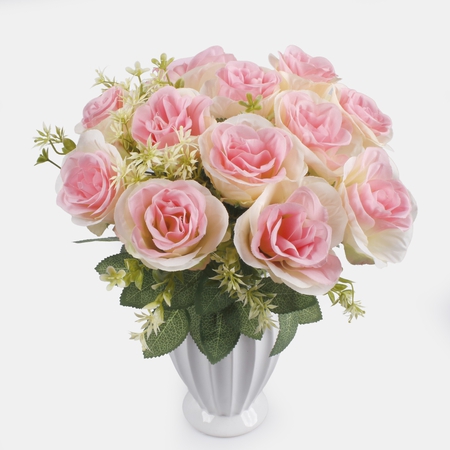 Rose x 12