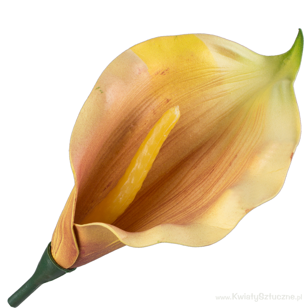 Calla foam W601 Artificial calla head