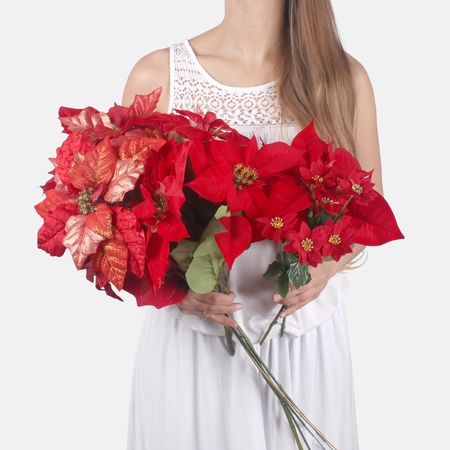 Set of flowers