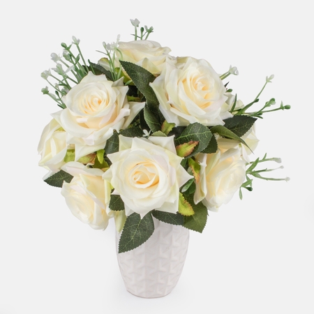 Rose x 12
