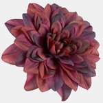 Burgundy/Black (W536-13)