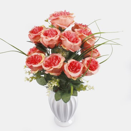 Rose x 12