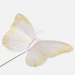 White/Yellow (AN108-02)