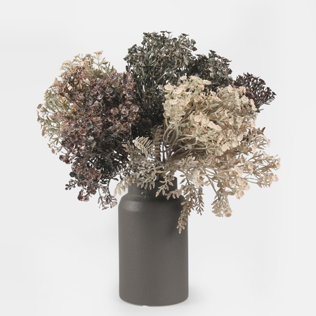 Helichrysum bouquet