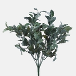 Frosty Green (A604-01)